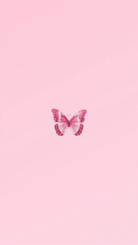 Hình nền màu hồng hình con bướm cute