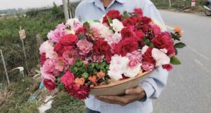 Làng Hoa Mê Linh rộn ràng sắc hoa vào những ngày đón tết 5 Làng Hoa Mê Linh