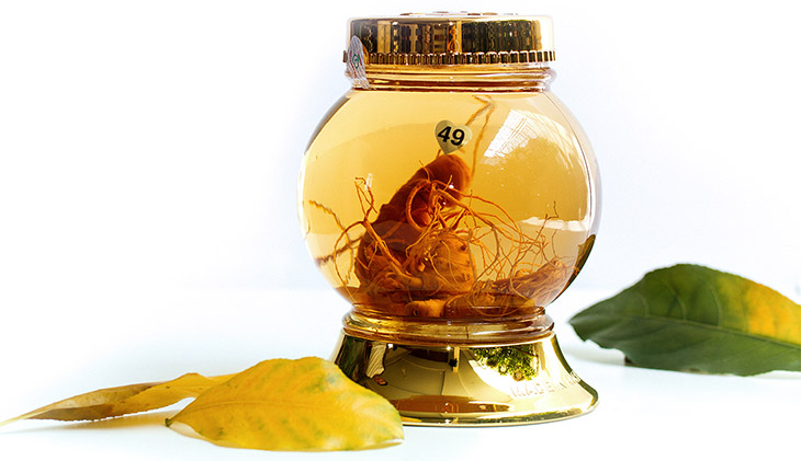 Sâm Ngọc Linh dùng ngâm mật ong 