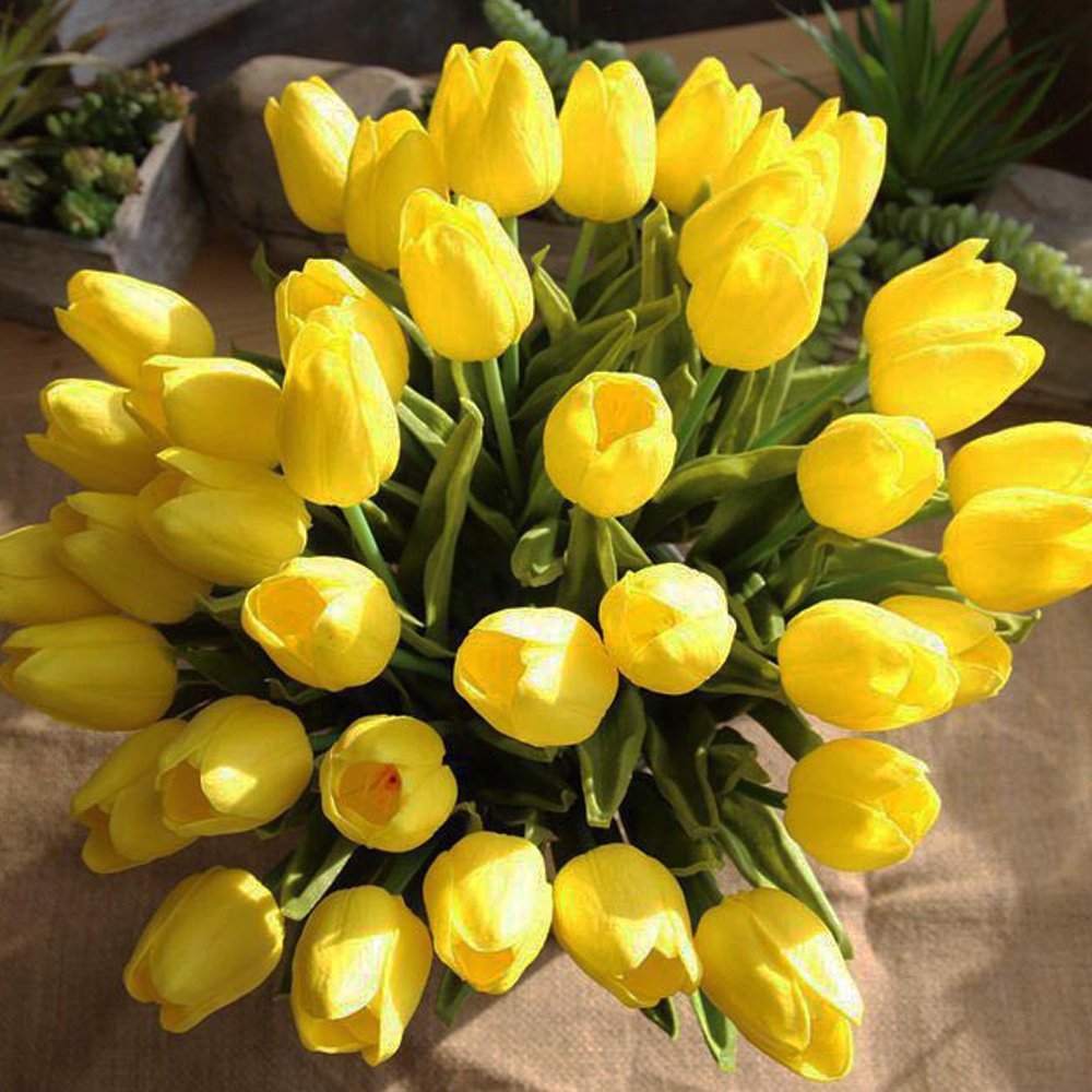 Tránh tặng hoa tulip vàng cho bạn gái
