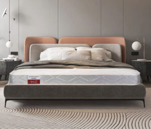 Đánh giá Nệm Dunlopillo Spring Venus